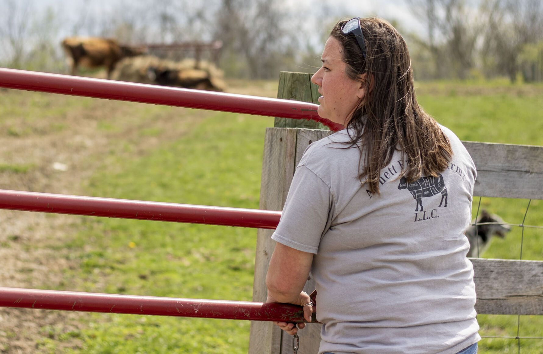 Arnett Family Farms